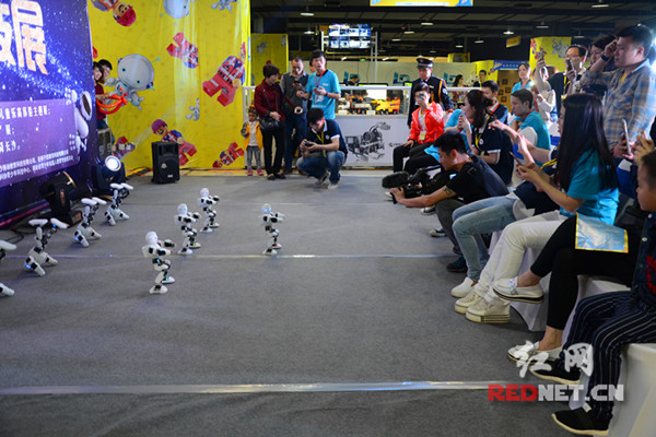 機器人梯隊大牌云集 長沙首屆魅力科技展開幕(圖1) 機器人梯隊大牌云集 長沙首屆魅力科技展開幕(圖1)